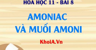 Amoniac là gì? Tính chất vật lý và tính chất hóa học của Amoniac và Muối Amoni - Lý thuyết Hóa 11 bài 8